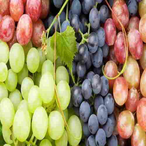Organic and Natural Fresh Grapes