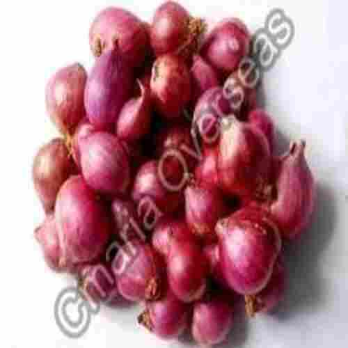 Organic and Natural Fresh Sambar Onion