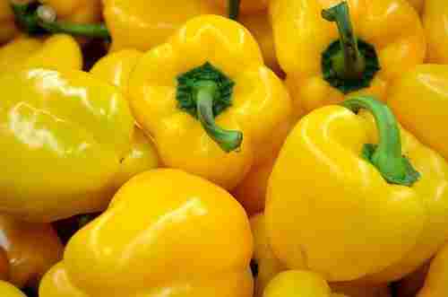 Healthy and Natural Fresh Yellow Capsicum