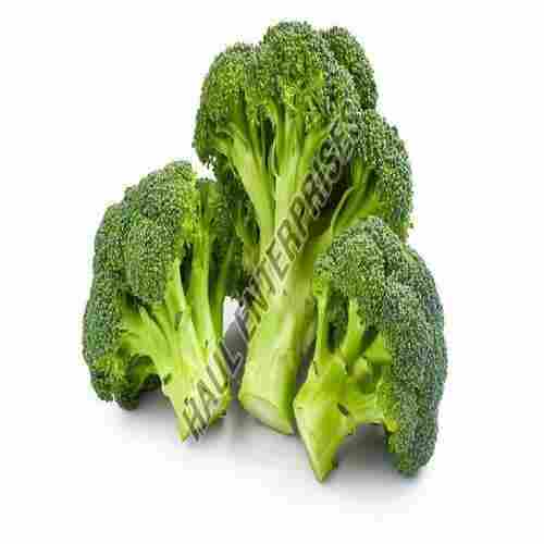 Organic and Healthy Fresh Broccoli