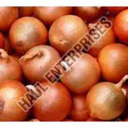 Organic and Natural Fresh Yellow Onion