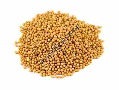 Organic and Healthy Yellow Mustard Seeds