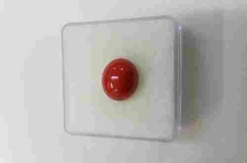 Japanese Red Coral Moonga Gemstone