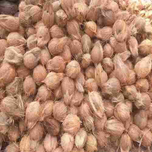 Healthy and Natural Semi Husked Coconut