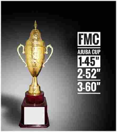 Gold Plated Trophy Ajuba Cup