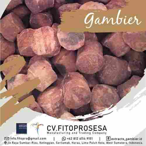 Solid Gambier Catechin Extract