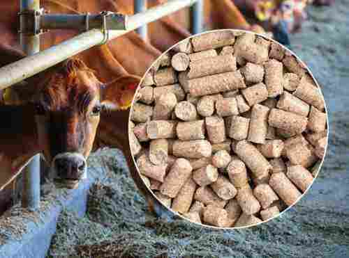 Dairy Cattle Feed Pellets