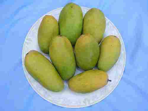 Healthy and Natural Langra Mango