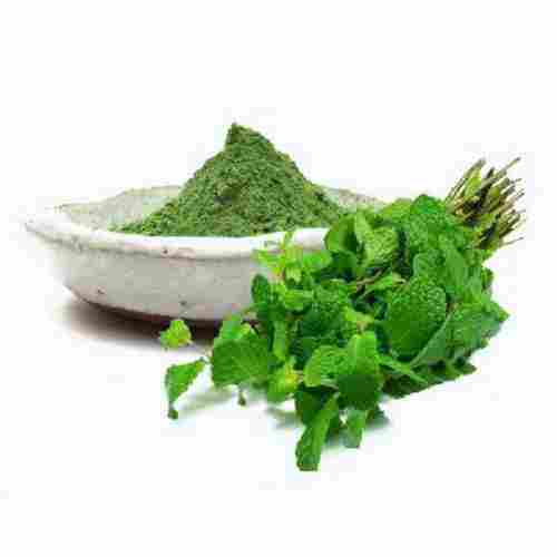 Natural Herbal Dried Mint Powder