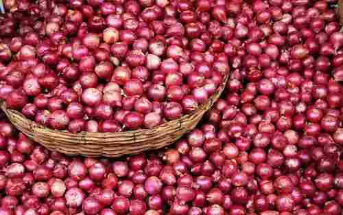 Healthy and Natural Fresh Rose Onion