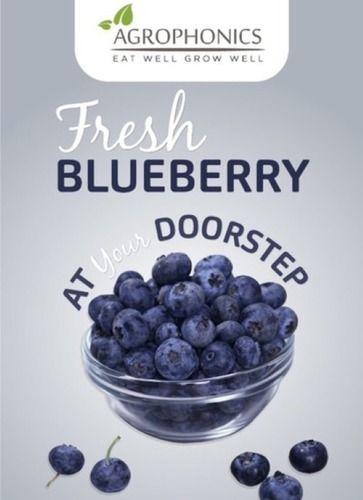 Blue Tasty Fresh Natural Blueberries