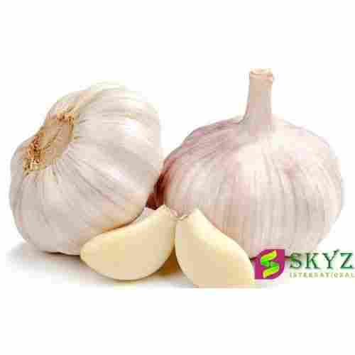 White Color Fresh Garlic