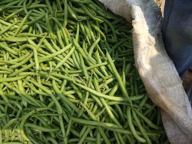 Healthy and Natural Fresh French Beans