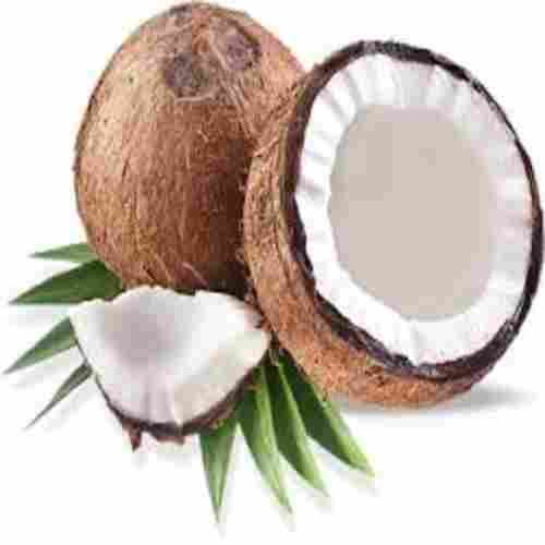 Healthy and Natural Fresh Coconut