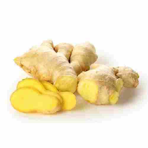 Healthy and Natural Fresh Ginger