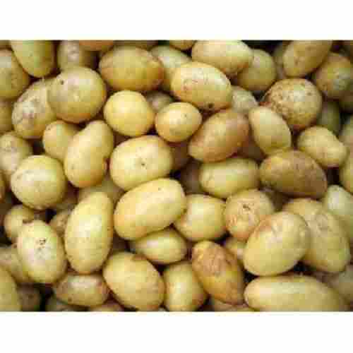 Healthy And Natural Fresh Potato