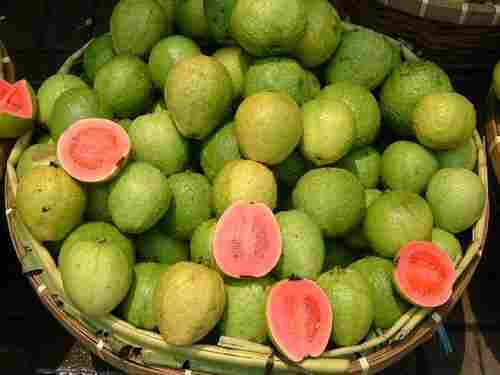 Healthy and Natural Fresh Red Guava