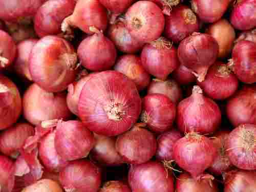 A Grade Fresh Onion