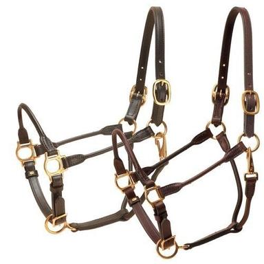 Leather Halter With Stainless Steel Buckles