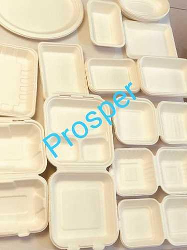 White Biodegradable Bagasse 3 Compartment Tray