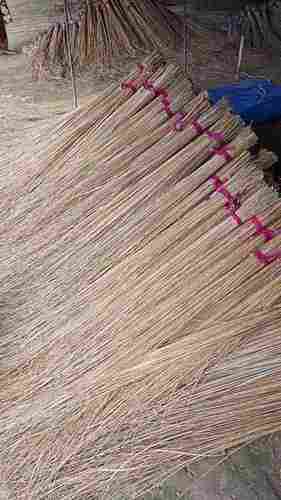 Plain Hard Stick Broom For Floor Cleaning