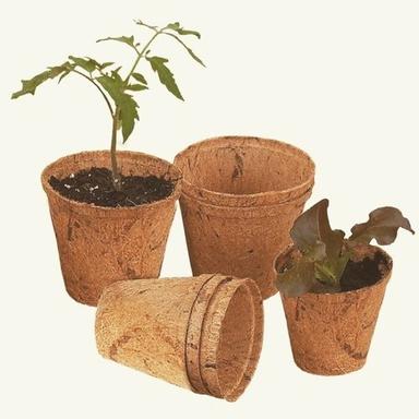 Brown Coconut Hand Carved Garden Pot