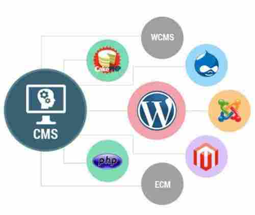 CMS Website Designing Services