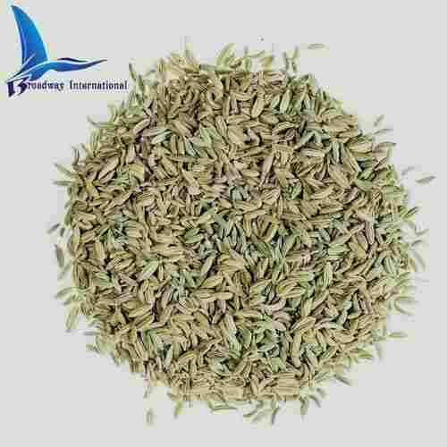 Indian Origin Fennel Dry Seed