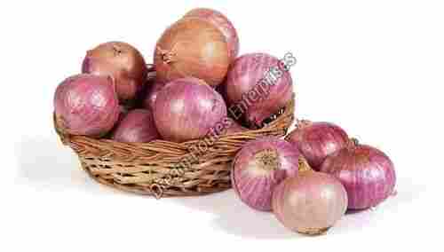 Organic Farm Fresh Onion