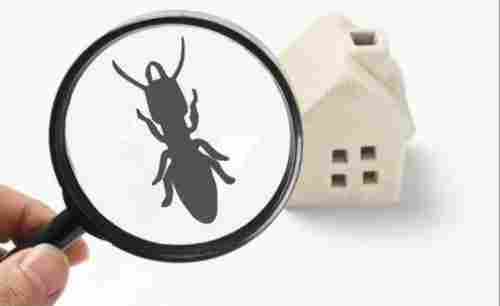 Home Spray Termite Control Services