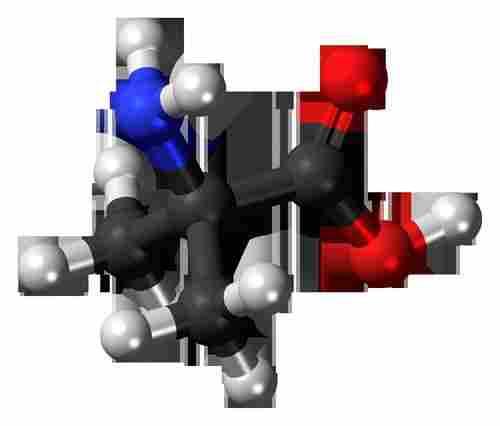 Aminoisobutyric Acid