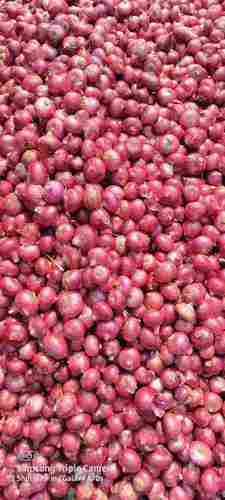 Export Quality Nasik Fresh Red Onion