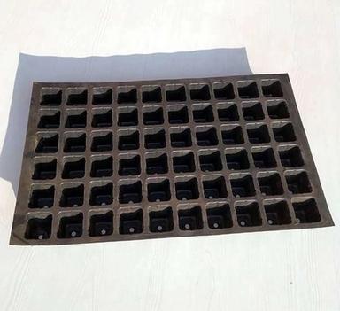 60 Cavity Seeding Tray