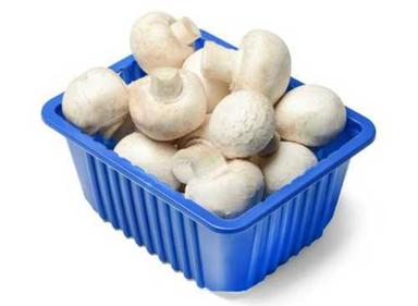 White A Grade Fresh Mushroom