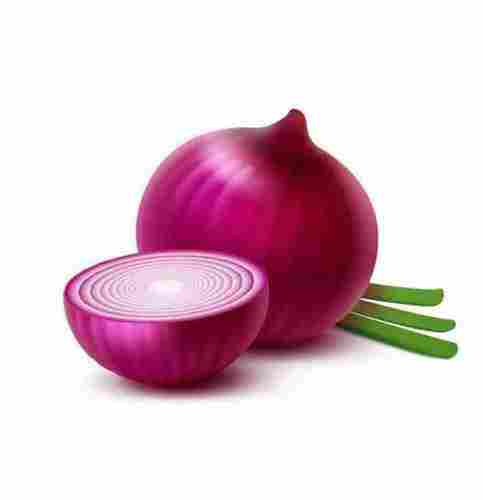 Custom Size Fresh Red Onion 