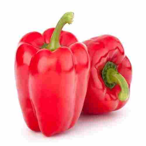Healthy and Natural Fresh Red Capsicum