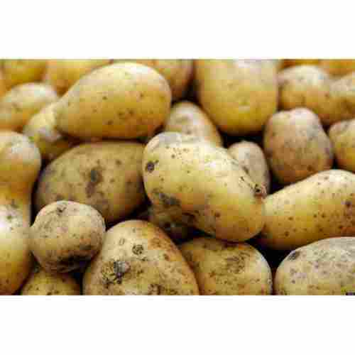 Fresh and Raw Organic Potatoes