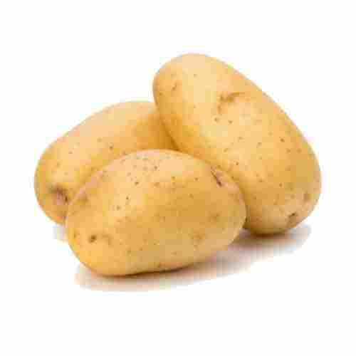 Light Brown Organic Potato