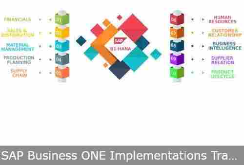 SAP Business ONE Implementations Trading Industry