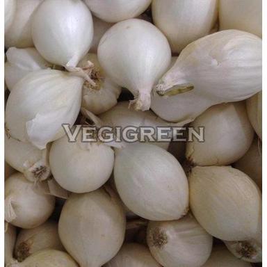 Round Healthy And Natural Silverskin Onion