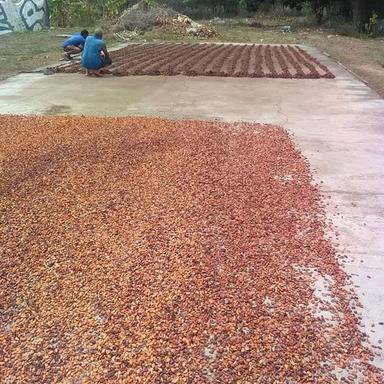 Quality Dried Cocoa Beans