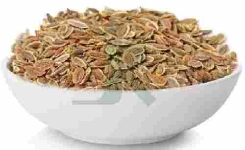 Indian Origin Dill Seeds