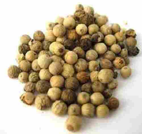 Dried White Pepper Seeds