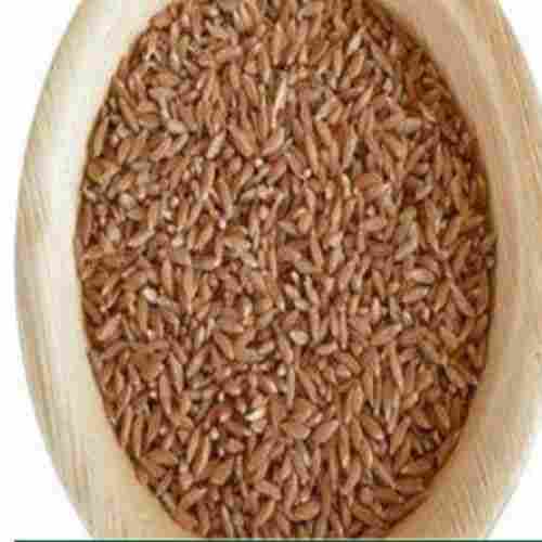 Healthy and Natural Khapli Wheat