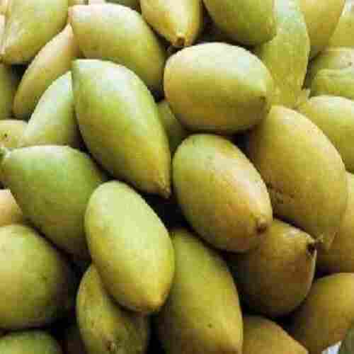 Healthy and Natural Fresh Totapuri Mango