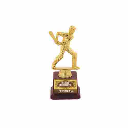 Metal Cricket Trophy (J1108)