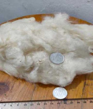 White Kapok Fiber / Kapok Cotton