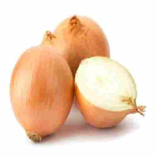 Healthy and Natural Yellow Onions