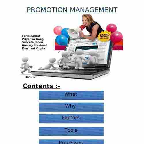 Promotion Management Services