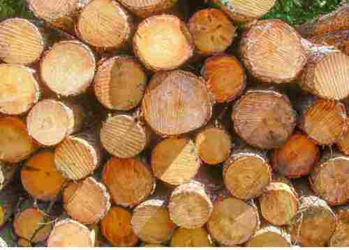 Water Proof Wood Log